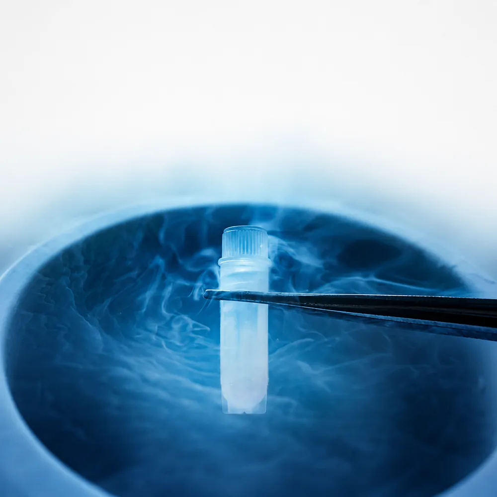 Cryovial being lifted from liquid nitrogen vapour